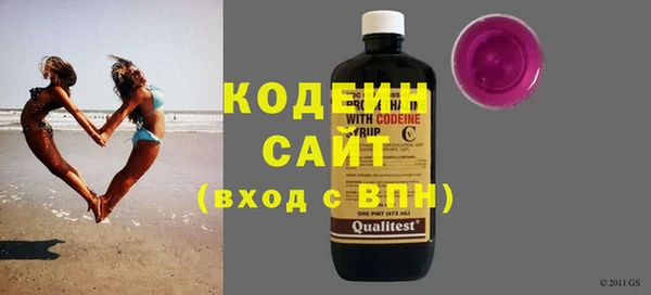хмурый Сосновый Бор