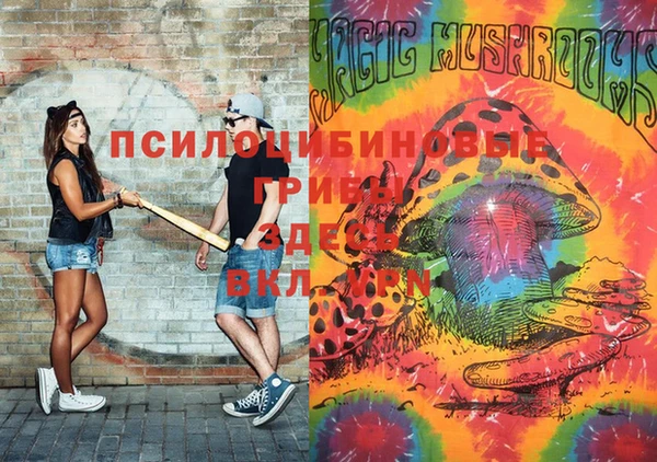 трава Богданович