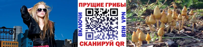 Псилоцибиновые грибы мицелий  Минусинск 